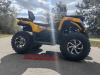 Motoland Wild Track X Plus (VOX250), 2025 г.