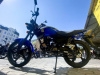 Racer Tiger RC150-23, 2024 г.