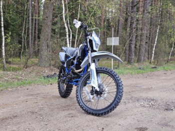 Progasi PALMA 300 RR, 2026 г.