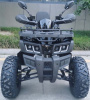 Racer RC 200 GLADIATOR, 2024 г.