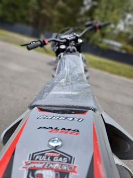Progasi PALMA 250 NG, 2026 г.